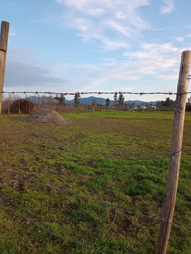 Parcela 5250m2 Rol Propio Las Cabras