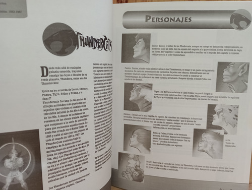 Revista Vintage Edición Especial De Colección Thundercats (Usado)