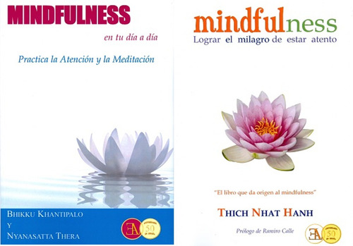 Lograr El Milagro De Estar Atento + Practica La Meditacion