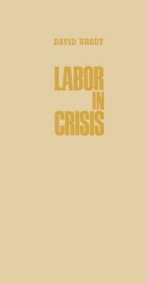 Libro Labor In Crisis : The Steel Strike Of 1919 - David ...