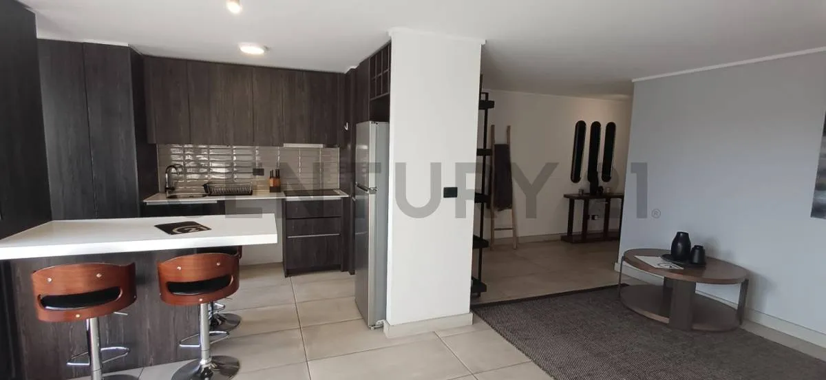 Imagen 4 de 20 de Arriendo Depto Providencia 2d2b. Metro Inés De Suárez