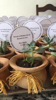 Suculentas Cactus Personalizados, Recuerdos, Regalos Eventos