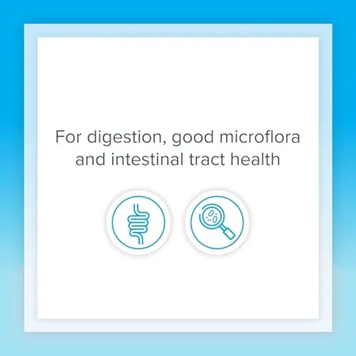 Acidophilus & Bifidus Fórmula De Doble Fuerza Probióticos