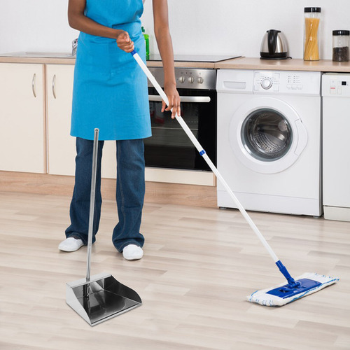 Recogedor De Polvo Para Limpieza Del Hogar, Recogedor De Pol