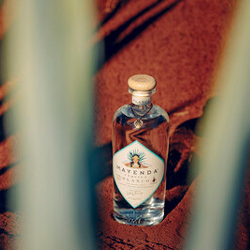 Pack De 12 Tequila Mayenda Blanco 750 Ml