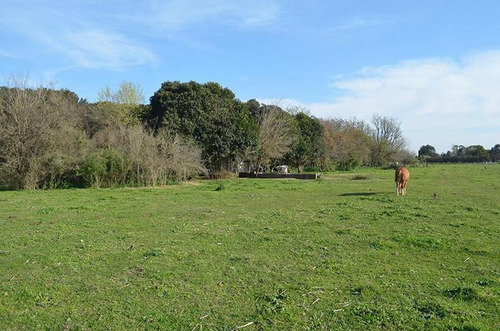 Imagen 2 de 17 de Terreno Para Empredimiento Manzanares 15 Hectareas
