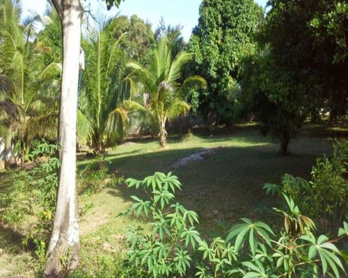 Imagem 5 de 15 de Casa - Pcpfca - 32312793