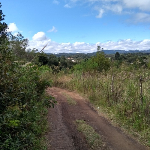 Chácara Pequena Em Agudos Do Sul Paraná