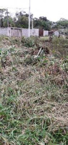 Imagem 4 de 6 de Terreno No Bairro Gaivota, Em Itanhaém, Com 250 M² De Área Total