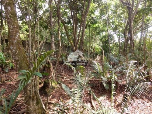 Imagem 17 de 17 de Terreno 40x43 Em Suzano-sp - Ter06