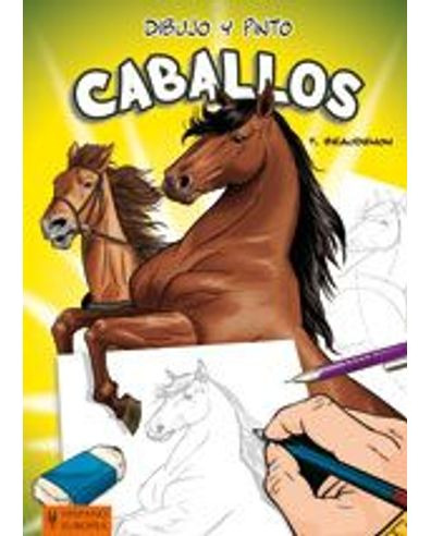 Libro Dibujo Y Pinto Caballos