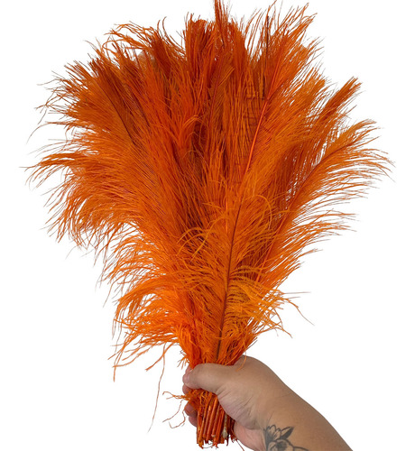 Plumas Avestruz Tipo Palito 100g Ideal P/ Trajes De Carnaval Cor Laranja