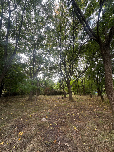 Terreno - Villa Parque Sicardi