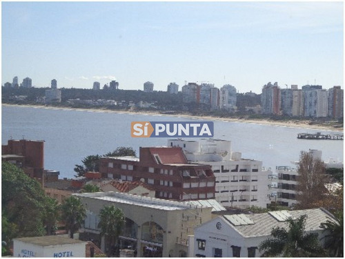 Imagen 1 de 7 de Apartamento En Peninsula A La Venta