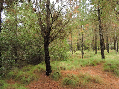 Lote En Venta Sendero I . Costa Esmeralda