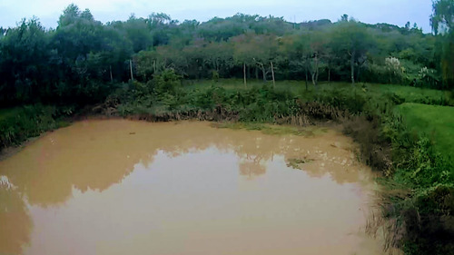 Lotes Venta 2da Secc. Delta, Islas Sobre Paraná De Las Palma