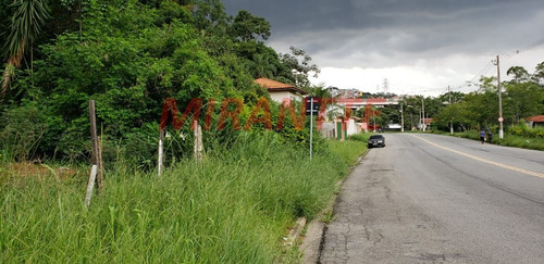Imagem 4 de 18 de Terreno Em Parque Itaguaçu - São Paulo, Sp - 353933