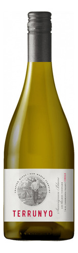 Terrunyo Vineyard vinho chileno sauvignon blanc 750ml