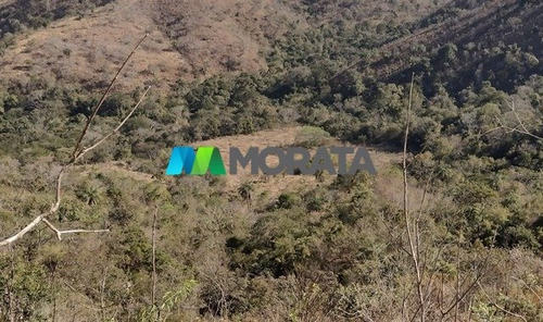 Imagem 3 de 3 de Fazenda - Zona Rural - Ref: 5256 - V-mta5256