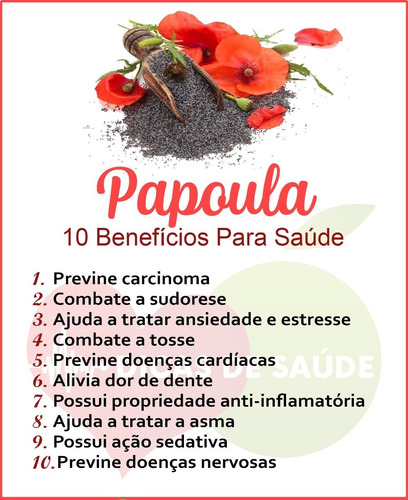 Sementes Papoula Comestível Cultivo Ornamental - Poppy