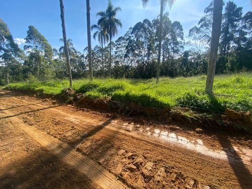 Imagem 5 de 9 de L05- Lote Acesso Rodovia Bunjiro Nakao