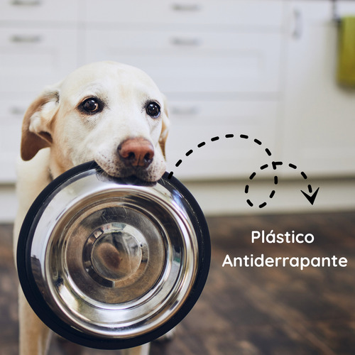 Plato De Acero Inoxidable Antiderrapante Para Perro 32 Oz.