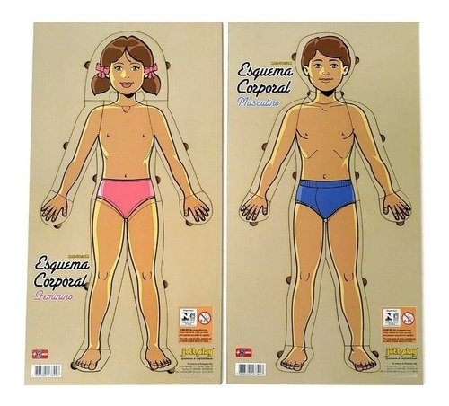 Esquema Corporal Masculino Feminino Em Madeira Com 22 Peças