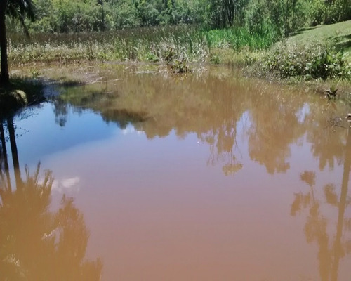 Imagem 15 de 23 de Sítio Rico Em Água, Paraíso Ecológico! - 156 - 32982609
