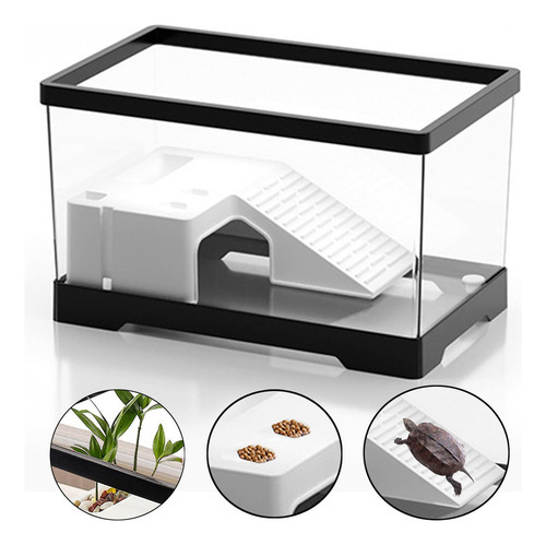 Tanque Para Tortugas De Agua Con Área De Negro Medio