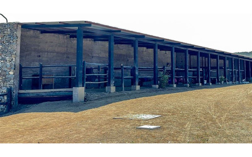 Imagen 25 de 29 de Sitio En 3 Has En Venta - Catapílco, Zapallar