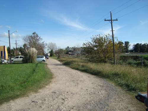Imagen 7 de 8 de Lote En Venta En El Rodeo