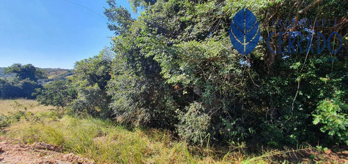 Imagem 5 de 15 de Chácara À Venda Em Alexânia-go - Ch4232335
