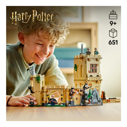 Lego® Harry Potter Castillo De Hogwarts: Clase De