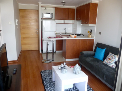 Departamento Amoblado En Arriendo Román Diaz, Providencia