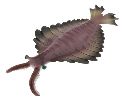 Juguetes Realistas De Animales Marinos Anomalocaris