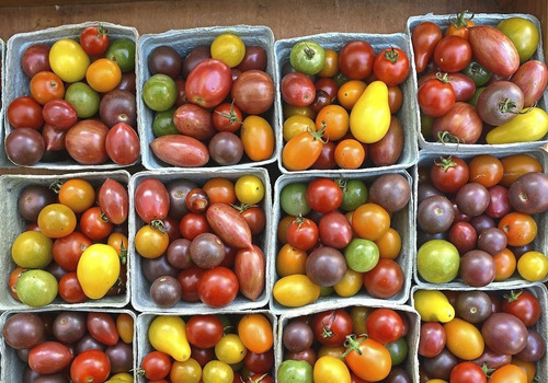 Combo Semillas Tomates Cherrys - 10 Variedades Exquisitas!!!