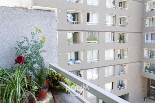 Departamento General Prieto Id: 100603