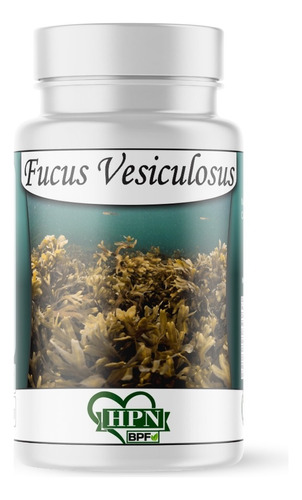 Fucus Vesiculosus Em 60 Cápsulas De 500 Mg