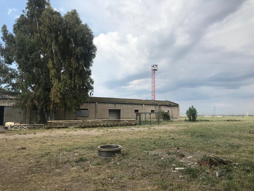 Imagen 2 de 14 de Fracción De Tierra En Paraje Grünbein