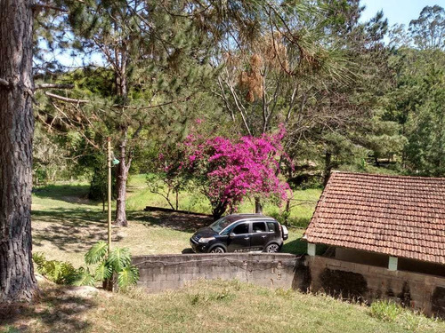 Imagem 11 de 30 de Sítio, Pra Quem Gosta Só Curtir, Pasto, Nascente, Lago, Córrego - V27