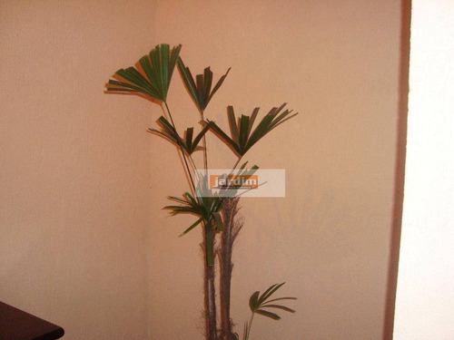 Imagem 22 de 30 de Chácara Com 3 Dormitórios À Venda, 470 M² Por R$ 530.000,00 - Jardim Da Represa - São Bernardo Do Campo/sp - Ch0057