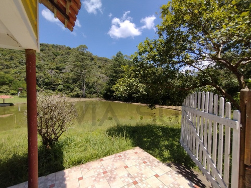 Imagem 25 de 30 de Belíssimo Sítio, Com Excelente Topografia E Rico Em Água - 52 - 70636338