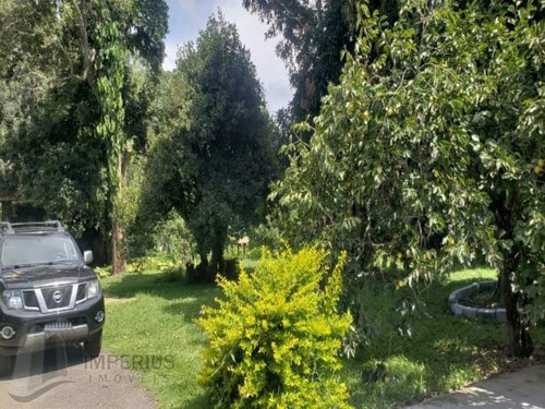 Imagem 5 de 8 de Vende-se Rural Chácara - 3808