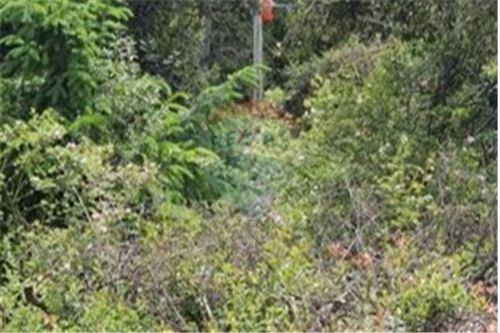 Terreno En Mallin Ahogado, El Bolson, Se Vende