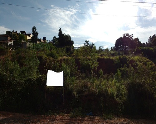 Imagem 2 de 2 de Terreno - Te00424 - 1587603