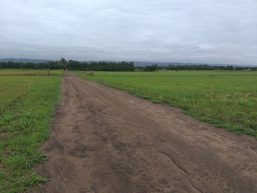 Imagen 2 de 9 de Vendo Lote En Anisacate Con Vistas A Las Sierras!!
