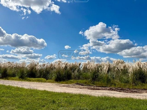 Terreno Lote En Venta En San Sebastian - Area 12, San Sebastian, Escobar. En Exclusividad