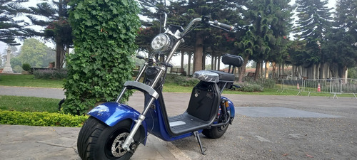 Imagen 5 de 18 de Scooter Eléctrico Modelo Harley Potencia 1500w Batería Litio