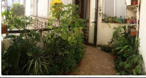 Imagen 9 de 10 de Departamento 1 Ambiente En Venta Mar Del Plata