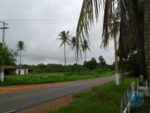 Imagem 15 de 15 de Fazenda Com Rio Maxaranguape Dentro - V-8846